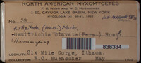 Image Associated With the Occurence